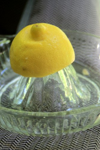 Lemon juicer -- handy for capturing the seeds